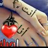 user1503866346186