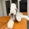 lambdogtyrant
