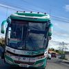 bus24elegnates4