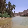 amir.khlil71