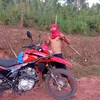 piloto_mal