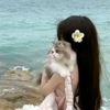 _farah8_