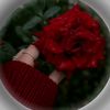 gowa_elhkaya