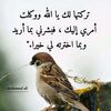 user3990968800918