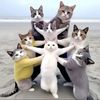 funny_time37