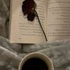 khadiga.elhadad7