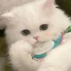 natalya_moon1