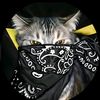 akmal_mal55