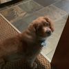 cartertyrus_is_back