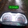 m.jungle5