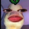 user938475197