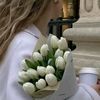wedad2253