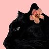_hanifa.4