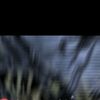 tutorialgabut3