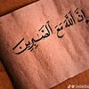 mahmoud.sea2