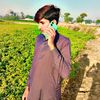safdar.mayo01