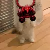 krov
