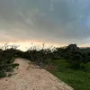 khoaxinloi2