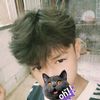 zin38593