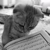 rafi.arabic