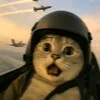 jim.bo282