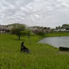thng39968