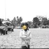 putrisarani50
