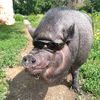 kaban_z_vodkoy