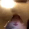 معجب الفتيات🚫☝🏿😎