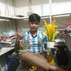 bulletbabu66