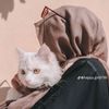meharzadi3448