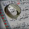 ahmed_7238