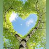 loveyouthaura
