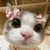 malika_12507