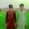 araing492