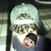f_tio.p