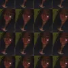 lalilal80