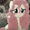 aylla.geovana.12