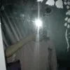 piccapu0904