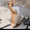 makeyoulough