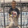 fiq_533