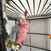emmado0181