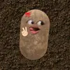 zhra_44z