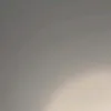 miguelohara304