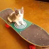 yuwwixz