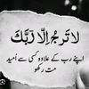 zidi_lrki35
