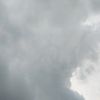 guest_34244