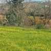 lafleurblanche056