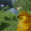 best_dodgek