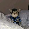 matoso_9394